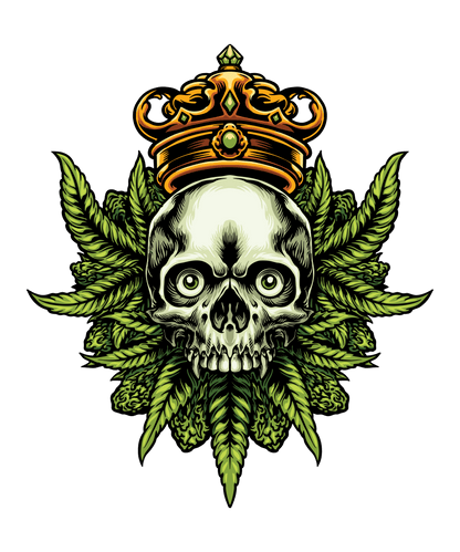 10 mil Vectores Premium de Anime y Variedad para Serigrafia DTF Sublimacion Vectores Semitonos PNG SGV Canva PSD Editables Alta Calidad Mas de 25 GB Descarga Inmediata